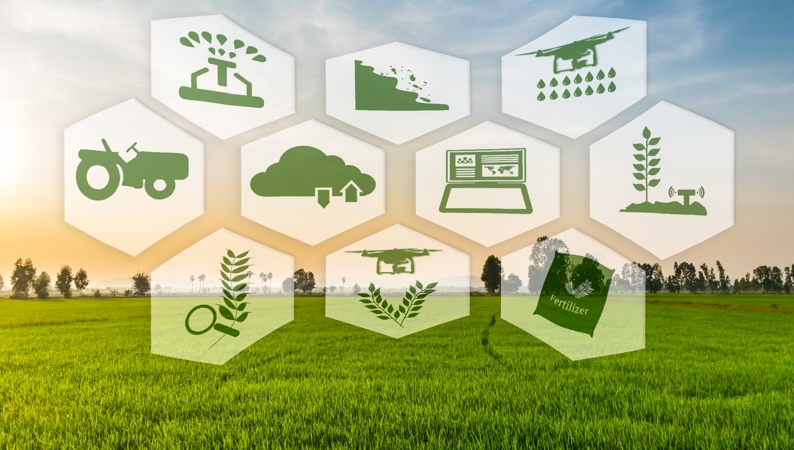 5 Ways To Streamline Your Farm Operations With Farm Management Software